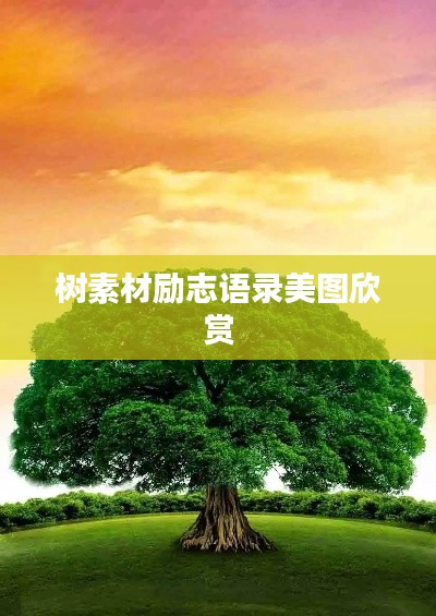 树素材励志语录美图欣赏