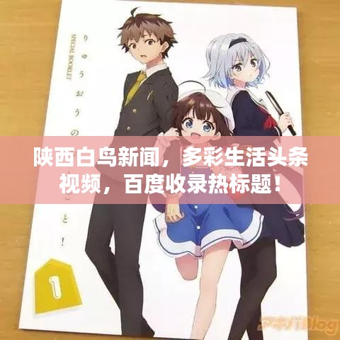 陕西白鸟新闻，多彩生活头条视频，百度收录热标题！