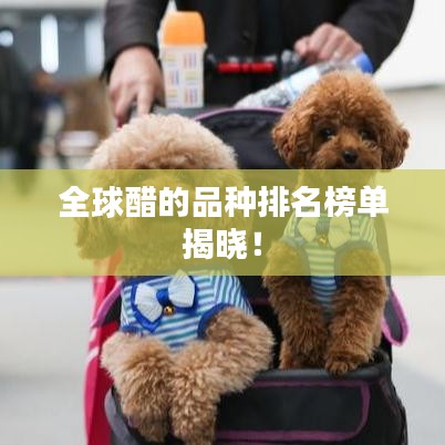 全球醋的品种排名榜单揭晓！