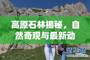 高原石林揭秘，自然奇观与最新动态新闻头条