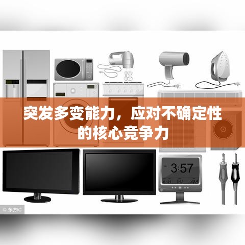 突发多变能力，应对不确定性的核心竞争力