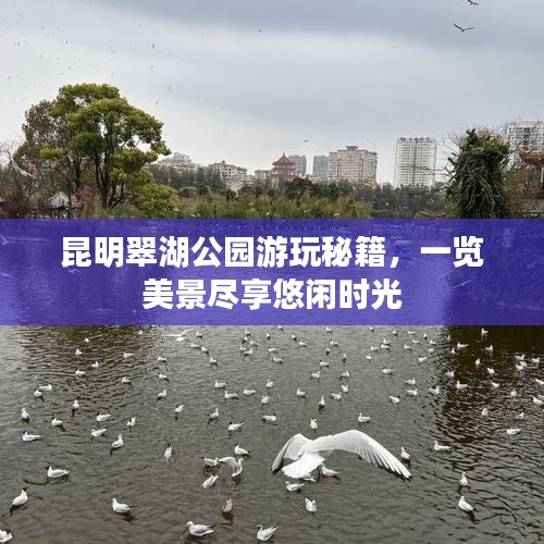 昆明翠湖公园游玩秘籍，一览美景尽享悠闲时光
