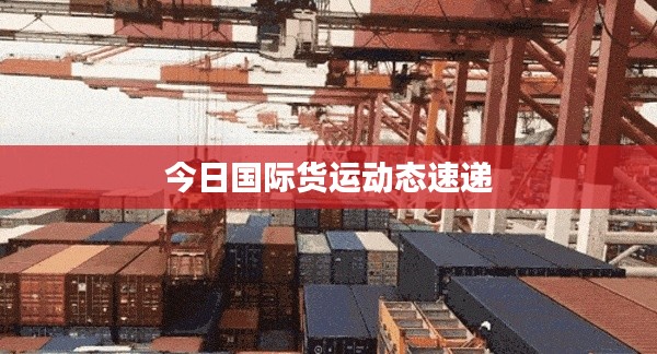 今日国际货运动态速递