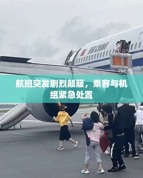 航班突发剧烈颠簸，乘客与机组紧急处置