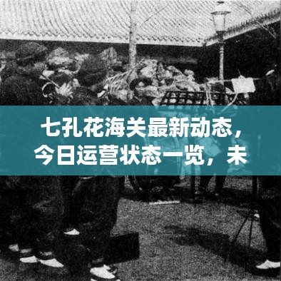 七孔花海关最新动态，今日运营状态一览，未来展望值得期待
