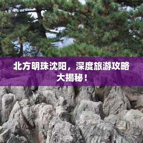 北方明珠沈阳，深度旅游攻略大揭秘！