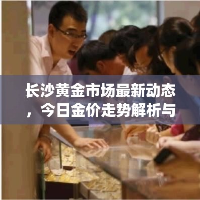 长沙黄金市场最新动态，今日金价走势解析与专业解读