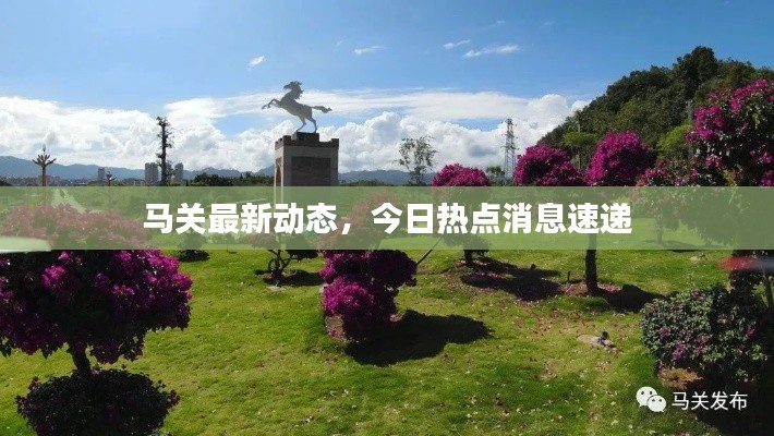 马关最新动态，今日热点消息速递