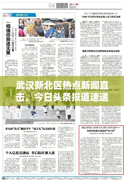 武汉新北区热点新闻直击，今日头条报道速递