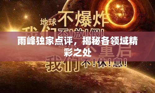 雨峰独家点评，揭秘各领域精彩之处