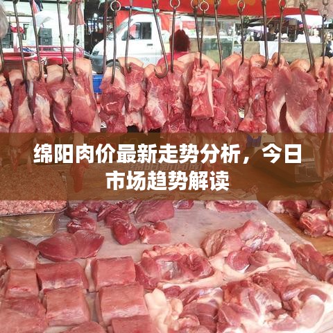 绵阳肉价最新走势分析，今日市场趋势解读