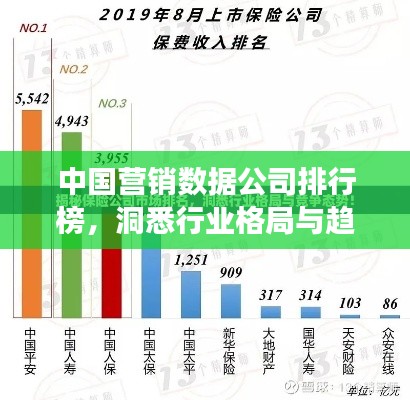 中国营销数据公司排行榜，洞悉行业格局与趋势，引领市场风向标！